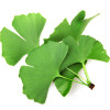 Ginkgo Biloba, cu lecitina, Life Care®